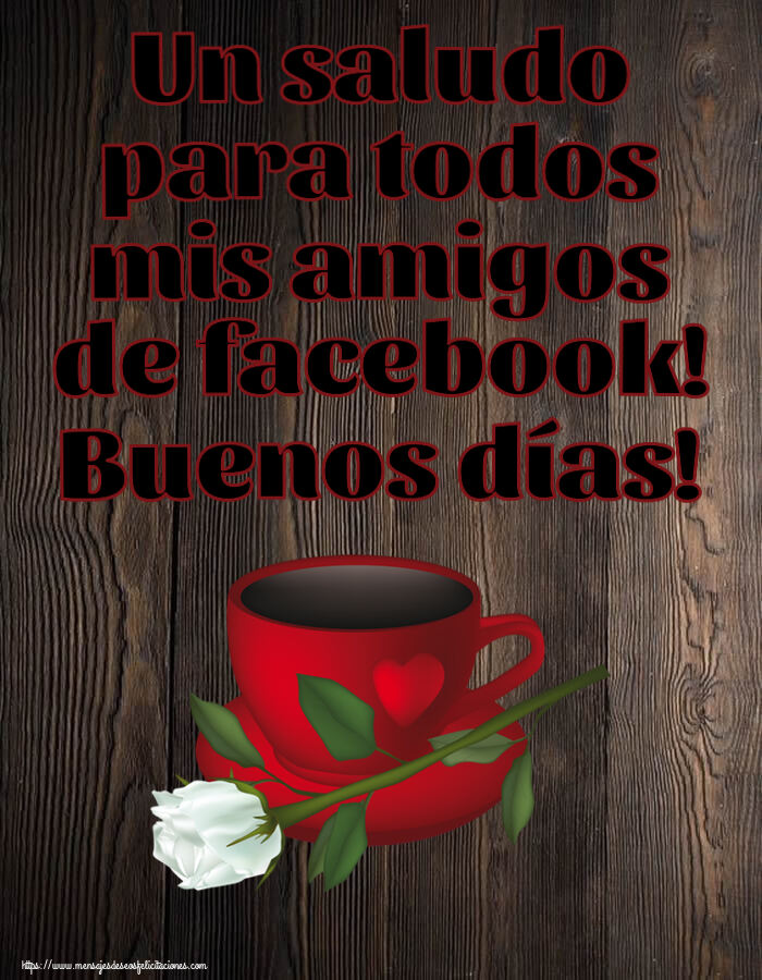 Un saludo para todos mis amigos de facebook! Buenos días! ~ café y una rosa blanca