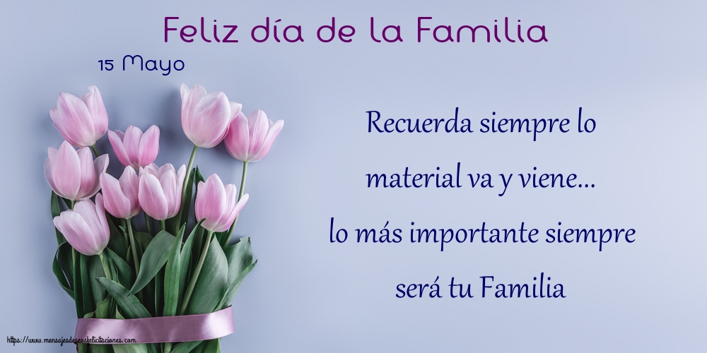 Día Internacional de la Familia 15 Mayo - Feliz día de la Familia - En mi vida tengo muchas cosas bellas