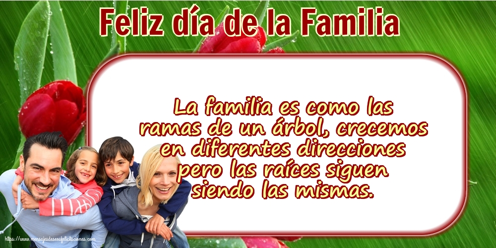 Felicitaciones Día Internacional de la Familia - 15 Mayo - Feliz día de la Familia - La familia es como las ramas de un árbol - mensajesdeseosfelicitaciones.com