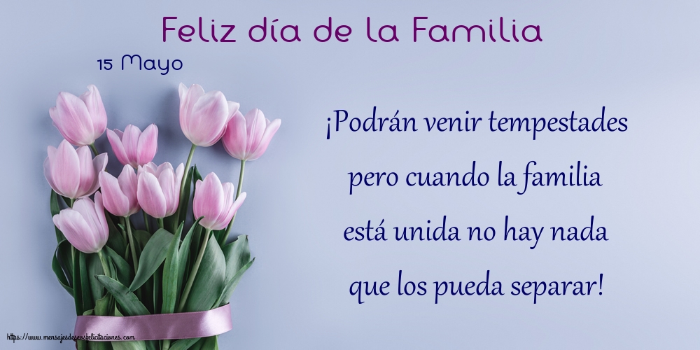 Felicitaciones Día Internacional de la Familia - 15 Mayo - Feliz día de la Familia - podrán venir tempestades pero cuando la famili - mensajesdeseosfelicitaciones.com