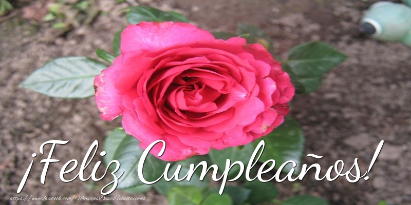 Felicitaciones con flores - ¡Feliz Cumpleaños! - mensajesdeseosfelicitaciones.com