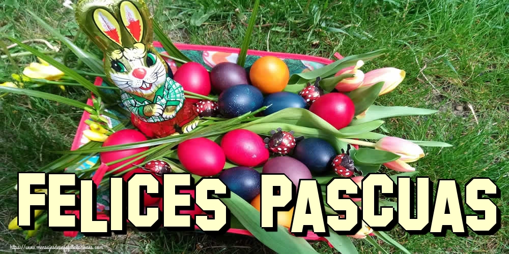 Felicitaciones de pascua - Felices Pascuas - mensajesdeseosfelicitaciones.com