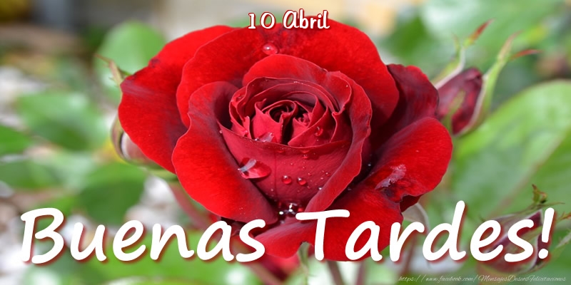 Felicitaciones para 10 Abril - 10 Abril - Buenas Tardes!
