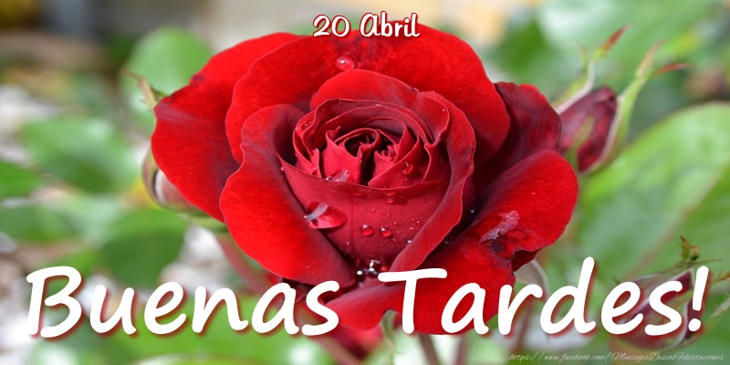 20 Abril - Buenas Tardes!