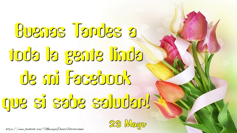 23 Mayo - Buenas Tardes a toda la gente linda de mi Faceboo
