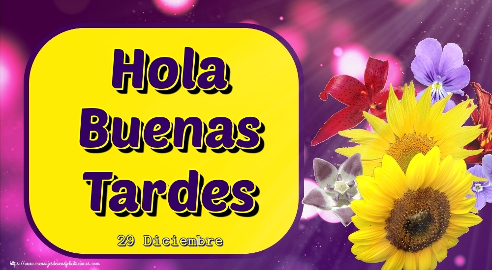 29 Diciembre - Hola Buenas Tardes