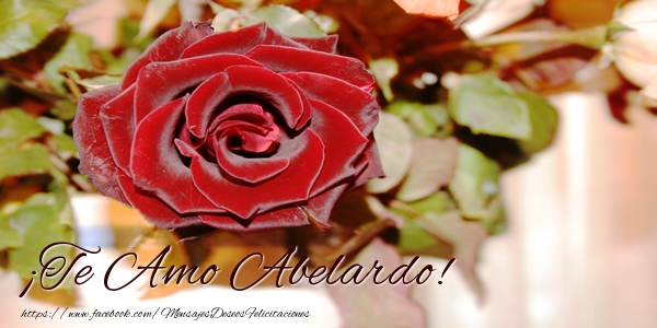 Felicitaciones de amor - Rosas | ¡Te Amo Abelardo!