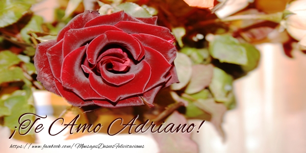 Felicitaciones de amor - Rosas | ¡Te Amo Adriano!