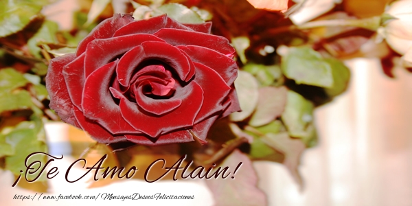 Felicitaciones de amor - Rosas | ¡Te Amo Alain!
