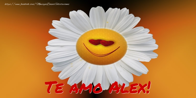  Felicitaciones de amor - Flores | Te amo Alex!