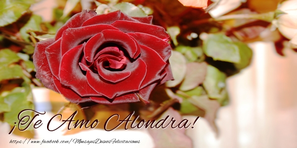 Felicitaciones de amor - Rosas | ¡Te Amo Alondra!