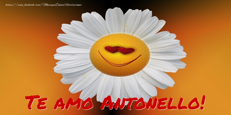 Felicitaciones de amor - Te amo Antonello!
