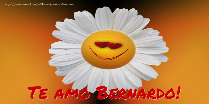 Felicitaciones de amor - Te amo Bernardo!
