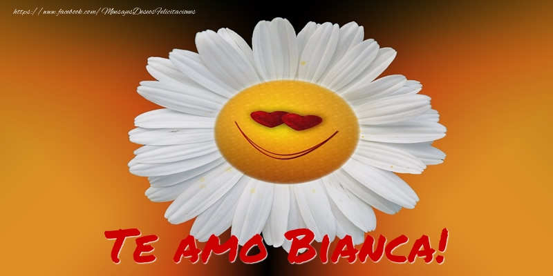 Felicitaciones de amor - Flores | Te amo Bianca!