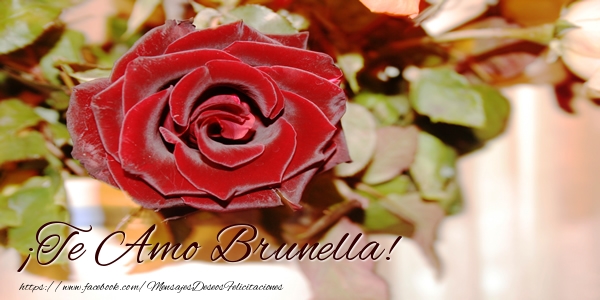 Felicitaciones de amor - ¡Te Amo Brunella!