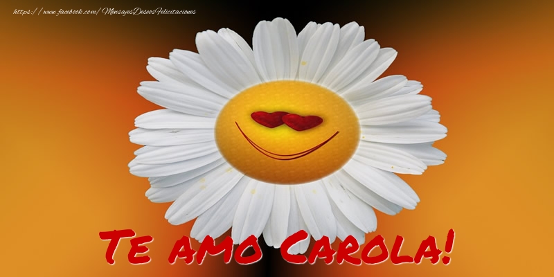 Felicitaciones de amor - Flores | Te amo Carola!