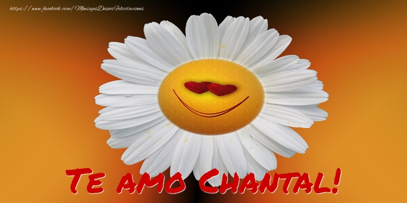 Felicitaciones de amor - Flores | Te amo Chantal!