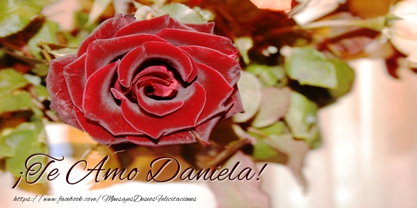 Felicitaciones de amor - Rosas | ¡Te Amo Daniela!