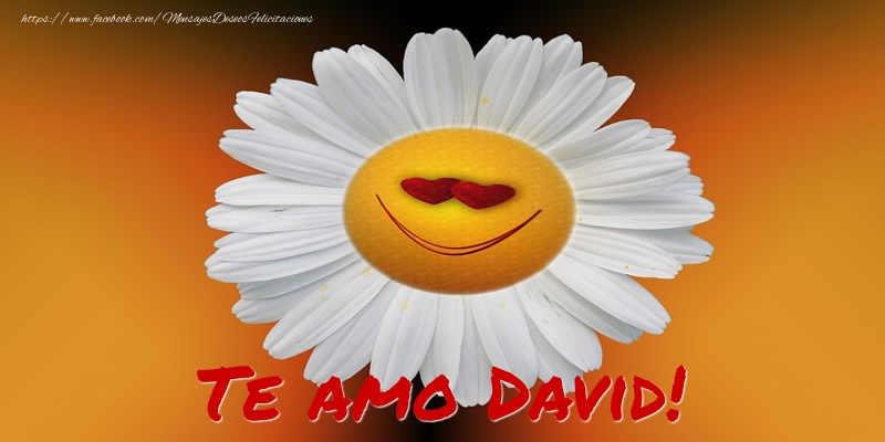  Felicitaciones de amor - Flores | Te amo David!