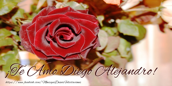 Felicitaciones de amor - Rosas | ¡Te Amo Diego Alejandro!