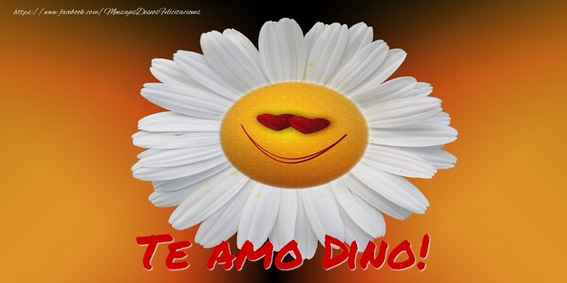 Felicitaciones de amor - Flores | Te amo Dino!