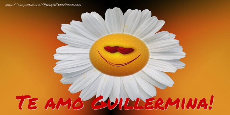 Felicitaciones de amor - Flores | Te amo Guillermina!