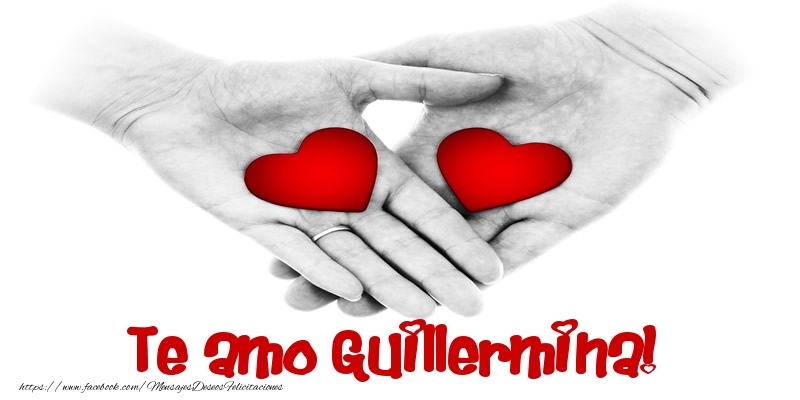 Felicitaciones de amor - Te amo Guillermina!