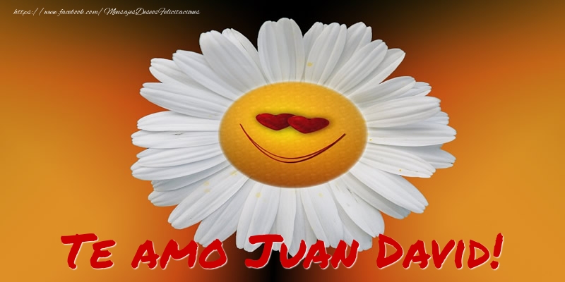 Felicitaciones de amor - Flores | Te amo Juan David!