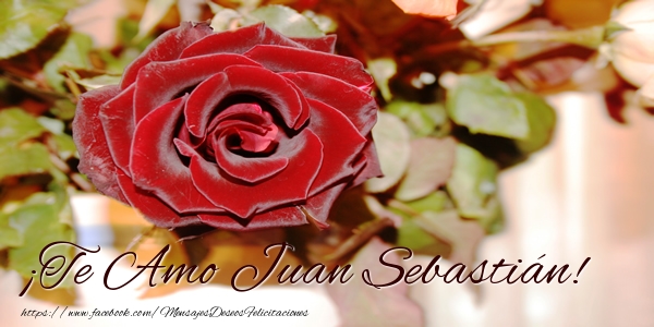 Felicitaciones de amor - Rosas | ¡Te Amo Juan Sebastián!