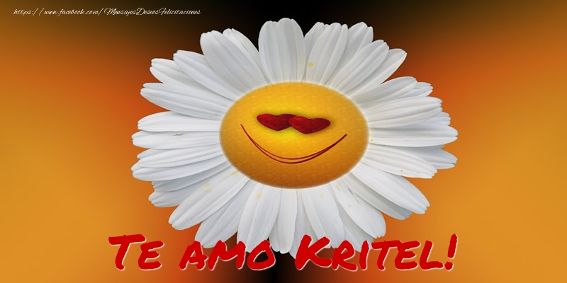 Felicitaciones de amor - Flores | Te amo Kritel!