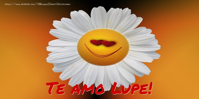 Felicitaciones de amor - Te amo Lupe!