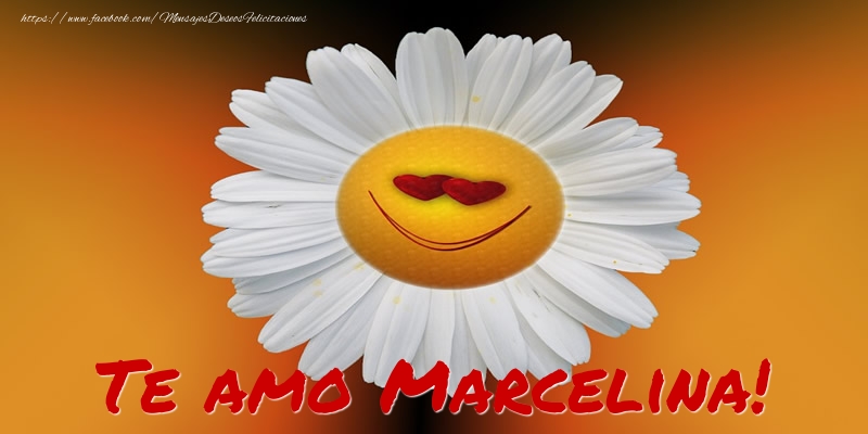Felicitaciones de amor - Flores | Te amo Marcelina!