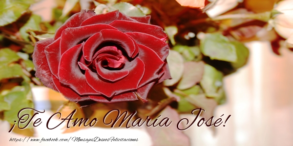 Felicitaciones de amor - Rosas | ¡Te Amo María José!