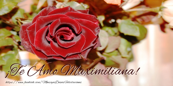 Felicitaciones de amor - Rosas | ¡Te Amo Maximiliana!