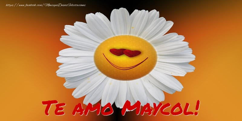 Felicitaciones de amor - Flores | Te amo Maycol!