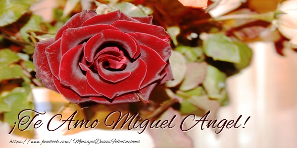 Felicitaciones de amor - Rosas | ¡Te Amo Miguel Angel!
