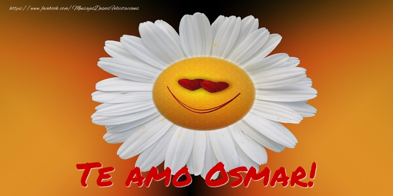 Felicitaciones de amor - Flores | Te amo Osmar!
