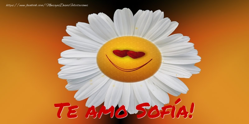 Felicitaciones de amor - Flores | Te amo Sofía!