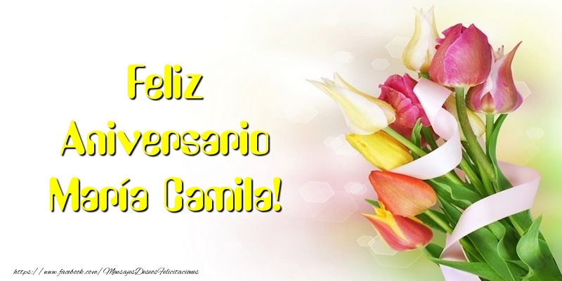 Felicitaciones de aniversario - Feliz Aniversario María Camila!