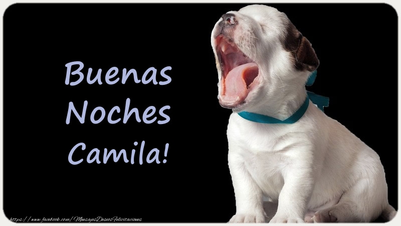 Felicitaciones de buenas noches - Buenas Noches Camila!