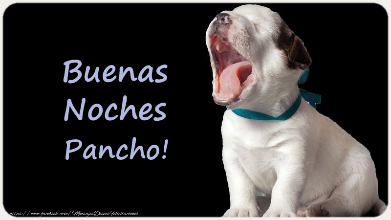 Felicitaciones de buenas noches - Animación | Buenas Noches Pancho!