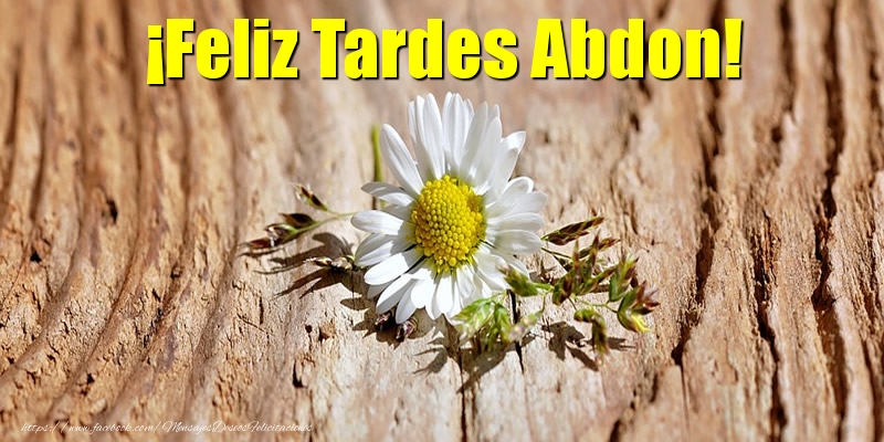 Felicitaciones de buenas tardes - ¡Feliz Tardes Abdon!