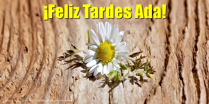 Felicitaciones de buenas tardes - Flores | ¡Feliz Tardes Ada!