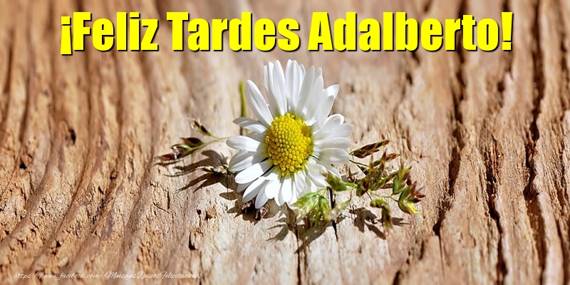 Felicitaciones de buenas tardes - Flores | ¡Feliz Tardes Adalberto!