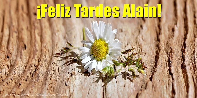 Felicitaciones de buenas tardes - ¡Feliz Tardes Alain!