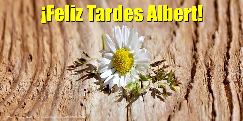 Felicitaciones de buenas tardes - Flores | ¡Feliz Tardes Albert!