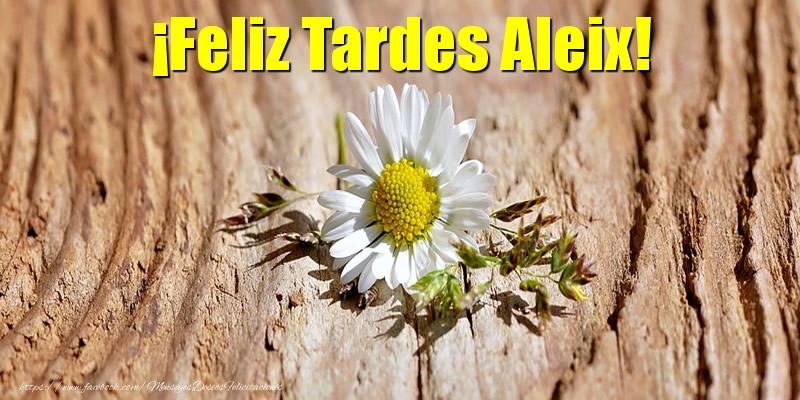 Felicitaciones de buenas tardes - Flores | ¡Feliz Tardes Aleix!