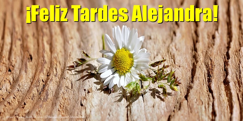 Felicitaciones de buenas tardes - ¡Feliz Tardes Alejandra!