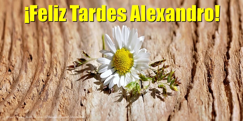 Felicitaciones de buenas tardes - Flores | ¡Feliz Tardes Alexandro!