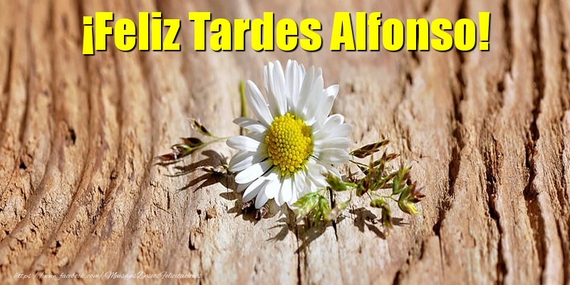 Felicitaciones de buenas tardes - Flores | ¡Feliz Tardes Alfonso!